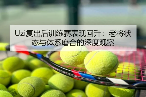 Uzi复出后训练赛表现回升：老将状态与体系磨合的深度观察